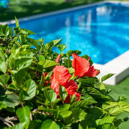 Tropical Βίλα Αγία Νάπα