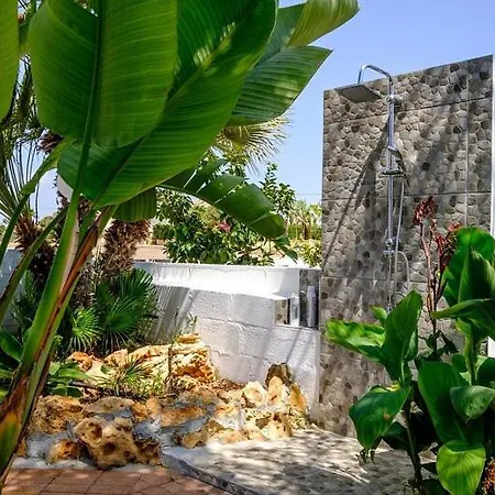 فيلة Tropical أيا نابا